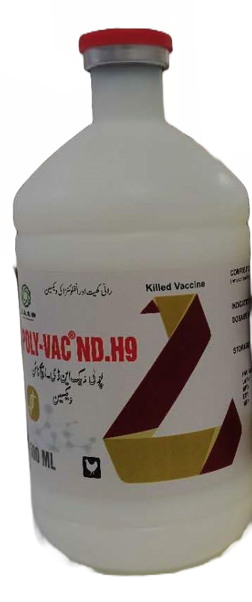 Image-HasTech